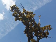 -成飞公园