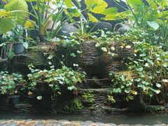 -园林美食城·本土农家菜(杨和镇店)