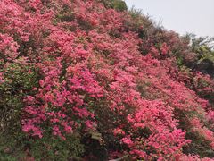 -木兰云雾山