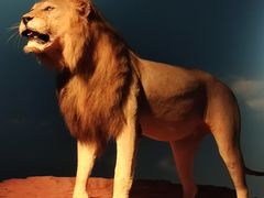 -重庆自然博物馆(新馆)