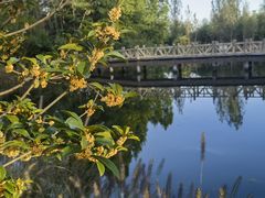 -溱湖国家湿地公园