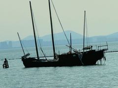 -贡湖湾湿地公园