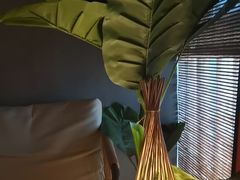 -施奈儿.洗头頭療.按摩SPA.采耳(上梅林店)