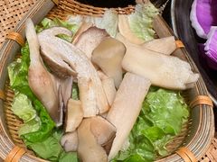 -滇野云南野生菌餐厅(陕西南路店)