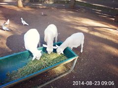 -费瑟代尔野生动物园