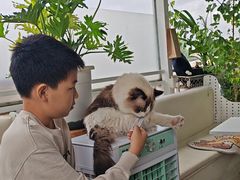 -小时光咖啡馆(北锣鼓巷店)
