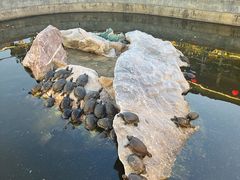 -八景休閒山莊  廣東十大名山莊