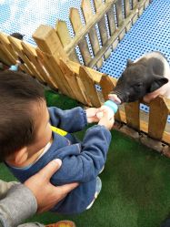 -萌宠亲子动物乐园(槐房万达店)