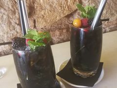 黑莓莫吉托-Cera 23