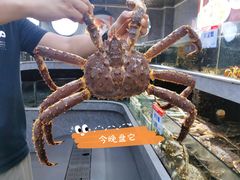 -阿拉斯加·海货(马王堆店)