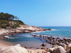 -广东惠东海龟国家级自然保护区