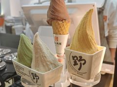 -野人先生现做冰淇淋(北京环宇荟店)