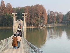 -东湖落雁景区