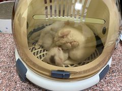 -胖哥俩肉蟹煲(盐城金鹰国际店)