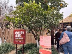 -乌镇望津里精品酒店