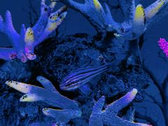 -上海海昌海洋公园