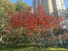 -木塔寺遗址生态公园