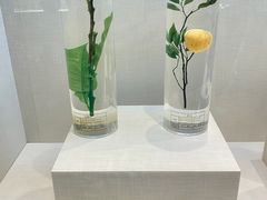 -广东中医药博物馆
