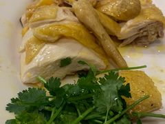 -黄B湛江鸡饭店(粤垦路店)