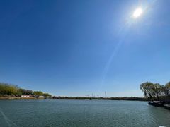 -大兴滨河森林公园