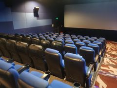 -万达影城(闵行颛桥万达广场杜比影院店)