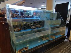 水产区-旺顺阁鱼头泡饼(小红门店)