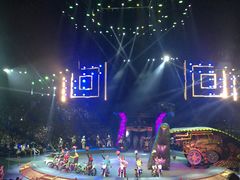 -珠海横琴长隆《卡卡虎奇遇记》