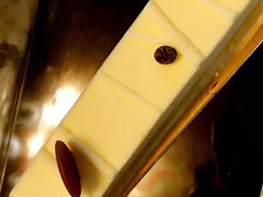 -Salon de The de Joel Robuchon(外滩18号店)