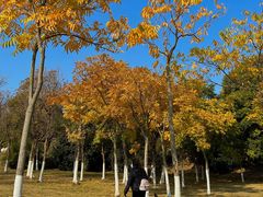 -钟山体育运动公园