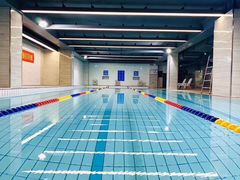 -金吉鸟健身游泳