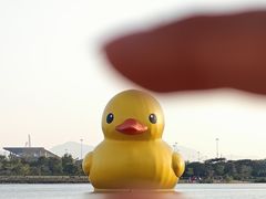 -元气寿司(金光华店)