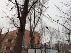 -大连理工大学中心-食堂