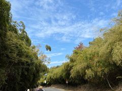 -南京市无想山景区