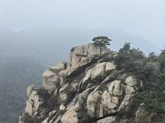 -沂蒙山旅游区云蒙景区(蒙山国家森林公园)
