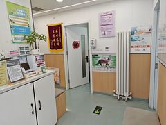 -瑞派·关忠动物医院·猫专科·犬专科(三环新城店)