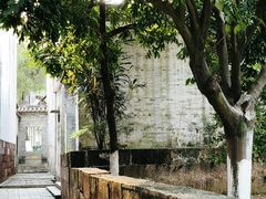 -碧江金楼
