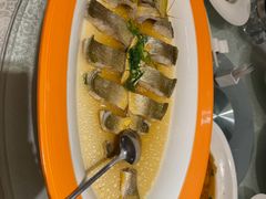 豉油蒸白水鱼-金美华轩(东方路齐鲁店)