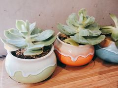 -头壹号  羊汤·饸饹面·大油条(西二旗店)