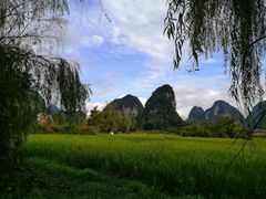 -靖西鹅泉风景区