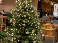 -YAFEE雅菲·粤菜·湘菜·融合菜(魏公村店)