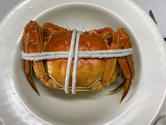 -黄记大闸蟹专卖店·活蟹·醉蟹