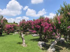 -南通洲际绿博园