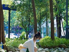 -成都市活水公园