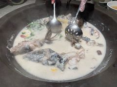 -鲜潭蒸汽石锅鱼(五道口购物中心店)