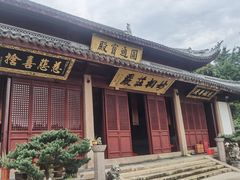 -上海东林寺(金山区)