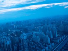 -上海龙之梦万丽酒店