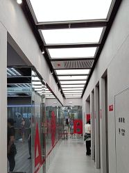 -跳动全城舞蹈