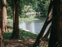 -荔枝公园(福田区)