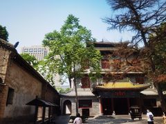 -天龙宝严素食馆(大兴善寺店)