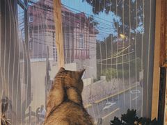 -不舍昼夜咖啡馆